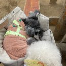 멍펜션13 이미지