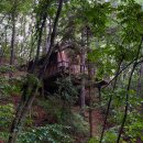 숲속트리하우스 이미지