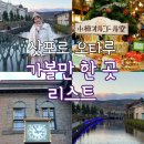 헬로블린 - 북구 서하로 369 | [삿포로] 오타루 당일치기, 반나절 여행 가볼 만한 곳 총정리
