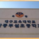 대구교육대학교안동부설초교 이미지