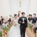 손수가든 네이버블로그