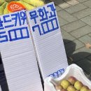 노원성모정형외과의원 이미지