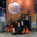 엑스랜드 이미지