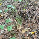 화악지암길 이미지