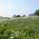 나문재관광농원 이미지