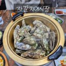 천안 자갈치 어시장에서 회+석화+랍스터 먹은 후기