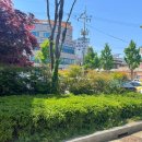 푸른길도서관 주차장 이미지