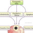 Re:Ketogenic Diet Provides Neuroprotective Effects against Ischemic Stroke Neuronal Damages 이미지