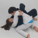 안양주짓수파크 이미지