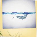 고래로L 이미지