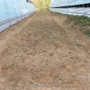 주식회사 유기산업 이미지