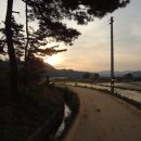 꿈의궁전 이미지