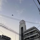 USJ 익스프레스 없이 유니버셜 스튜디오 오픈런 한 후기