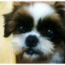 기다리다 이미지