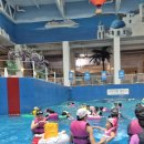 핫플레이스킹덤 | 🏖️ 송파 핫플레이스! 파크하비오 워터킹덤 &amp; 찜질스파 가족 후기