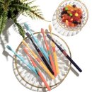 이지덴탈 이미지