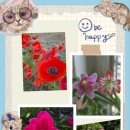 탄현1동 행정복지센터 이미지