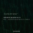바사히 | 나는 내가 되려고 얼마나 많은 나를 부정했던가