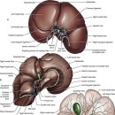 대구24시바른동물의료센터 이미지