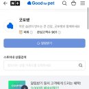 별이와콩이 | [굿포펫] 고양이두부모래추천!! 굿포펫 고양이 두부모래 솔직후기