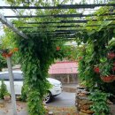 다숲민박 이미지