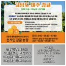 선샤인애월 이미지