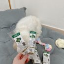 아임마인드 이미지