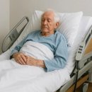 전동물병원 이미지