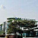 매지천교