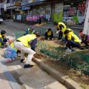 평화1동 주민센터 이미지