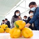 진흥농장 이미지