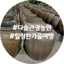 다솔관광농원 이미지