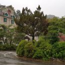 다덕파크 이미지