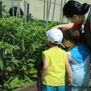 만년동행정복지센터 이미지