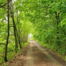 고촌농로 이미지