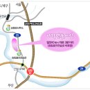 연꽃세상 이미지
