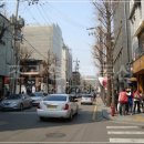 가로수길 이미지