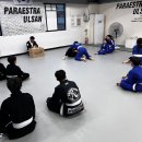 파라에스트라울산
