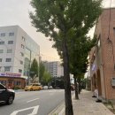 배스킨라빈스조치원 이미지