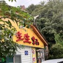[영주]안정면 <초가집생생오리> 내돈내산 솔직 후기!