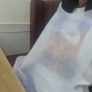 큰집추어탕 고등점 | 서울암사동 추어탕맛집 큰집추어탕