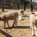 동화힐링캠프 이미지