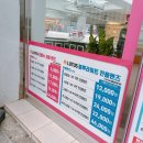 일진콘택트렌즈 이미지