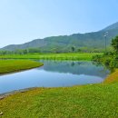 제너머골 세천 | 다낭 골프투어 자유여행 패키지 3색 54홀 라운드와 루프탑 수영장 여행 후기💛