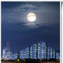 서울의 달 이미지