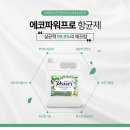 에코엔조이 이미지