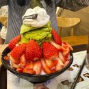 성남 디저트카페 신흥역설빙 성남빙수 근본 맛집 &lt;설빙 성남신흥역점&gt; 방문 후기!
