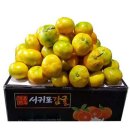 윤이 농장 이미지