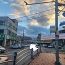 쌍송약국 이미지