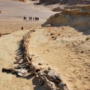 중앙대학교 첨단영상대학원 이미지